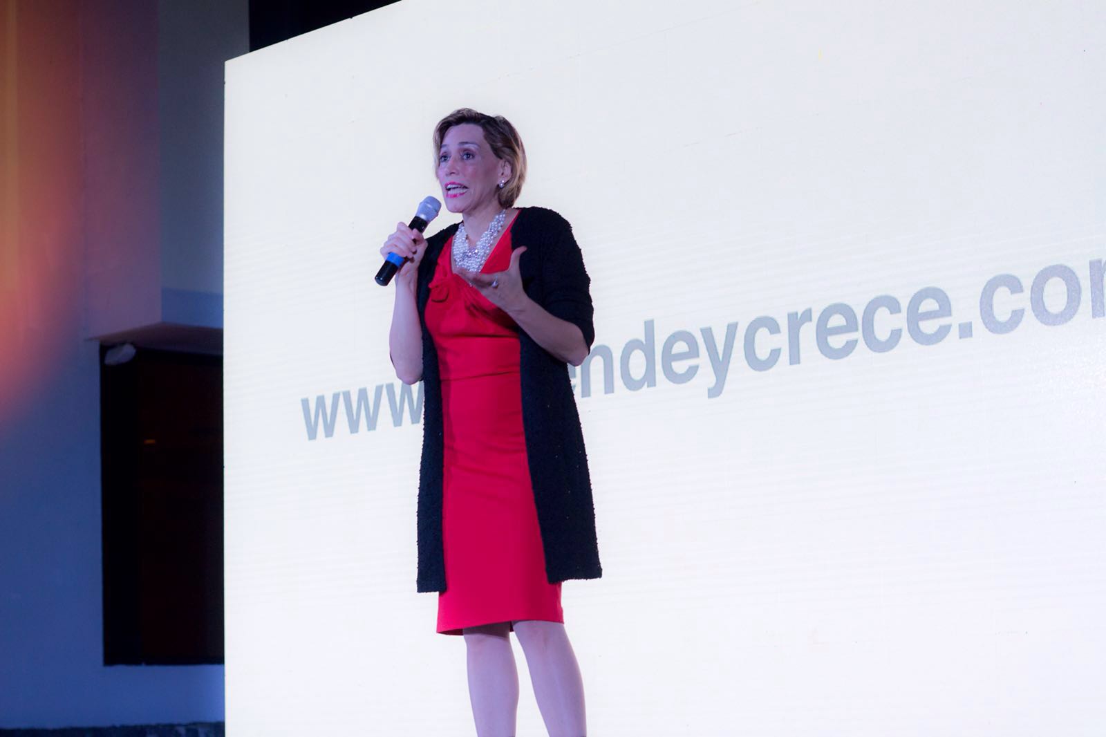 SV Lanzamiento 01.jpg